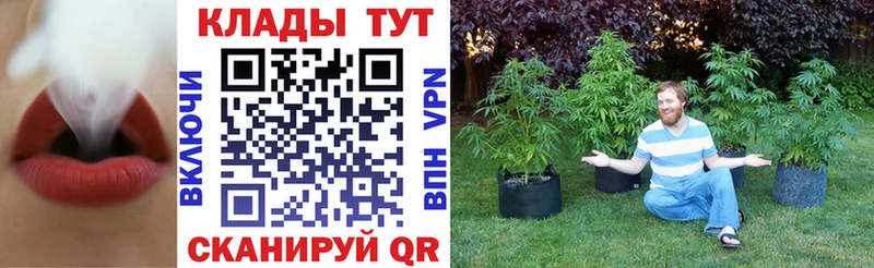  Cocaine Батайск