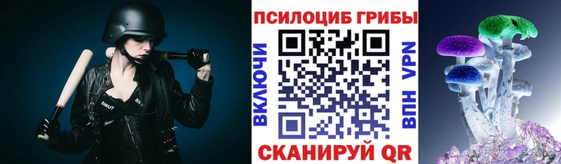 где купить наркоту  Батайск  мега зеркало  Галлюциногенные грибы Cubensis 
